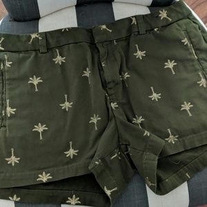 ANA olive twill shorts, gold  embroidered  palms
